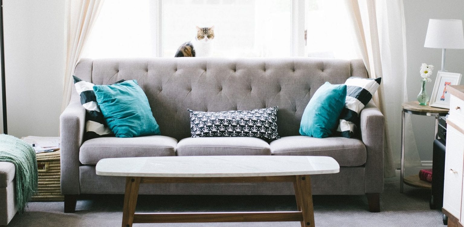 Buyers Guide The First Steps