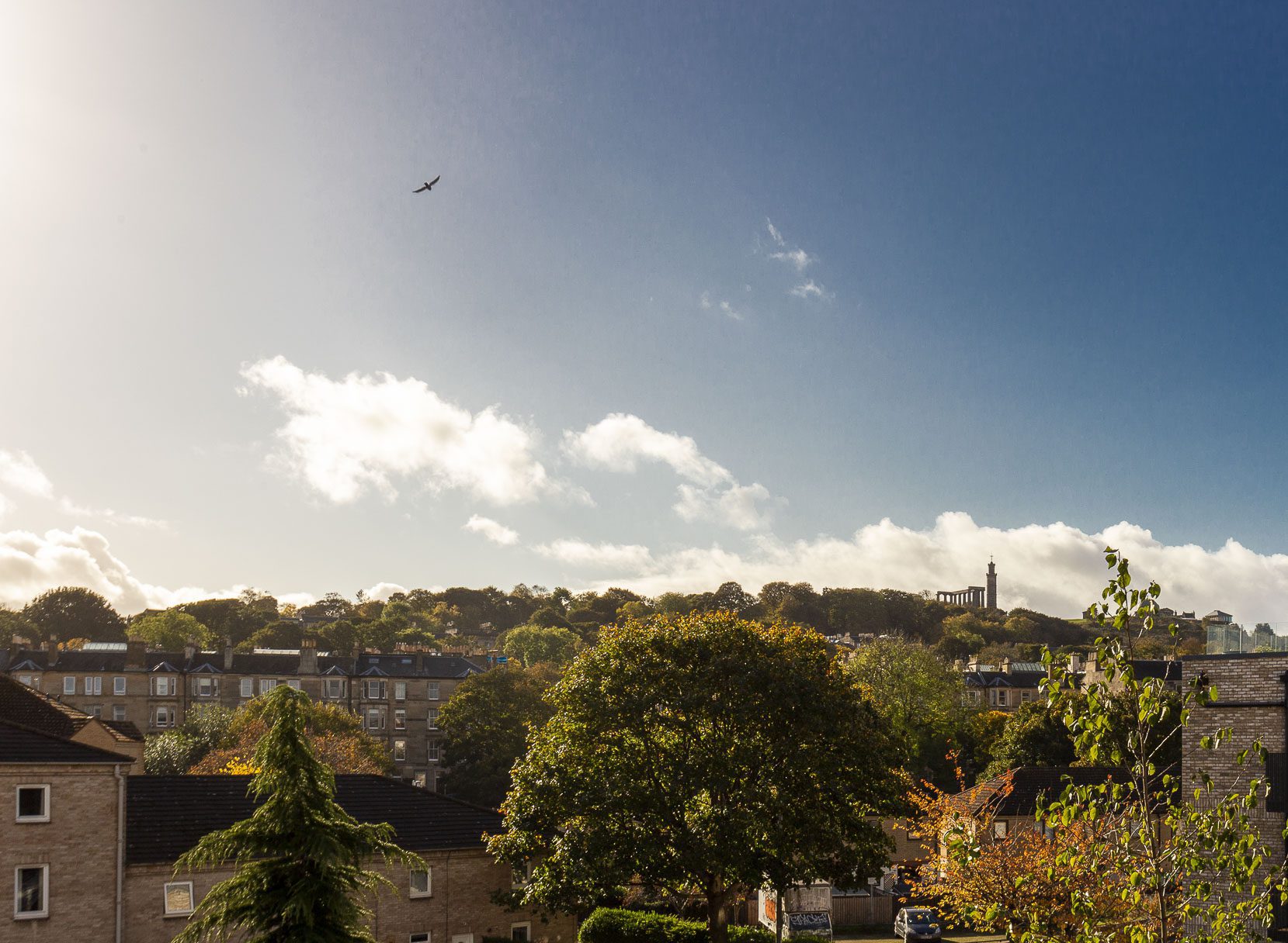 25/26 Brunswick Road, Edinburgh EH7 5GY Cameron Stephen and Co